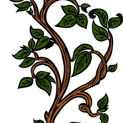 esleaves005clr Thumbnail