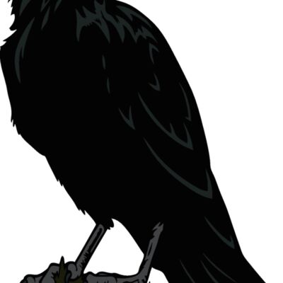 es2raven003clr Thumbnail