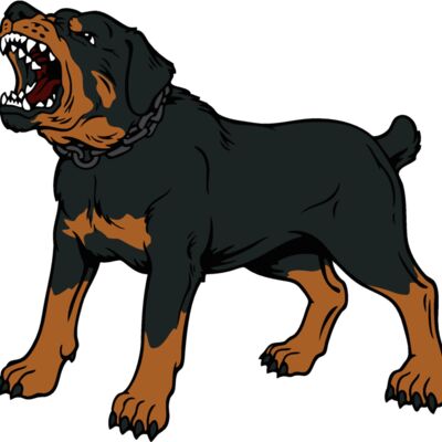 rottweiler03 Thumbnail