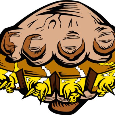 brass knuckles Thumbnail