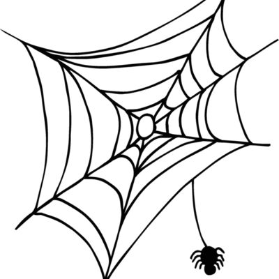 spiderweb1 Thumbnail