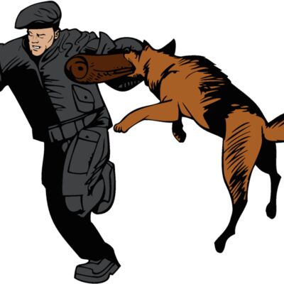 german shepherd 04 Thumbnail