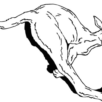 kangaroo Thumbnail