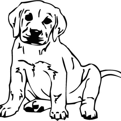 labrador Thumbnail