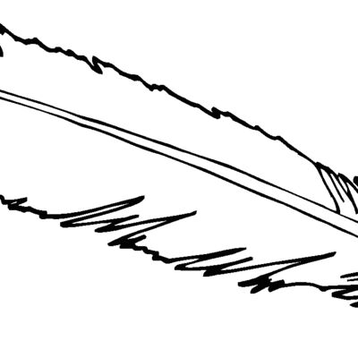 feathers12 Thumbnail