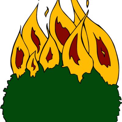 burningbush01 Thumbnail