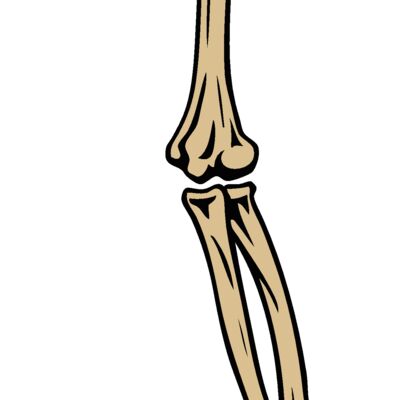 esbones003clr Thumbnail