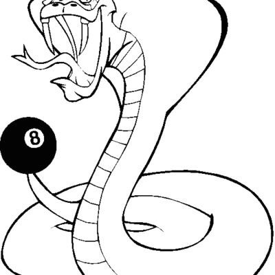 cobrapoolbns Thumbnail