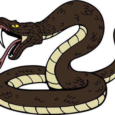 snakemsct04 Thumbnail