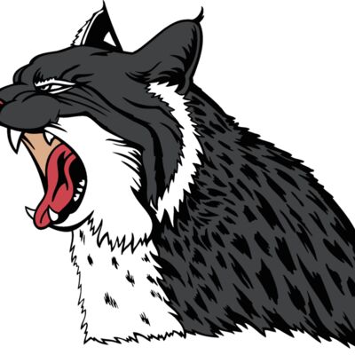 wildcat17v4clr Thumbnail