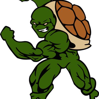 athleticturtle Thumbnail