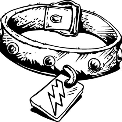 dog collar 2 Thumbnail