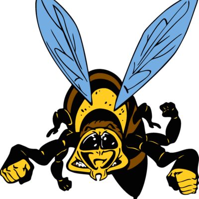 waspmsct01 Thumbnail