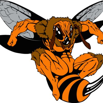 yellowjacket Thumbnail