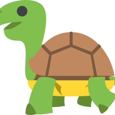 turtle Thumbnail